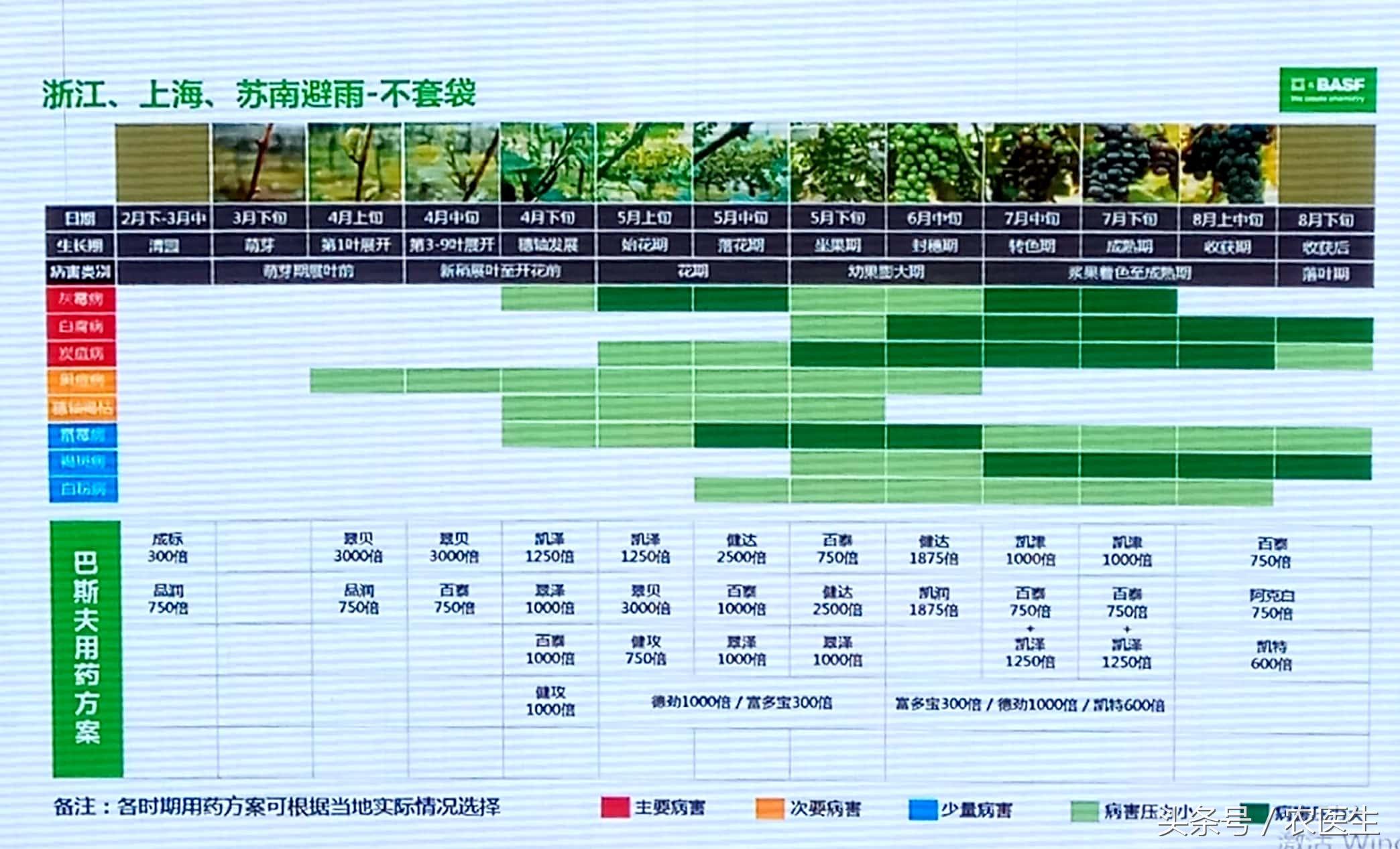 巴斯夫最新杀菌剂的研发进展与应用探索